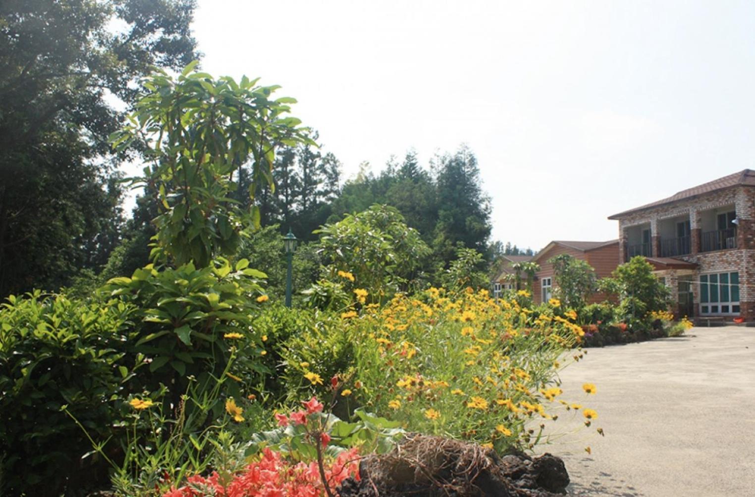 Jeju Ts Youth Hostel & Resort Согвипхо Экстерьер фото