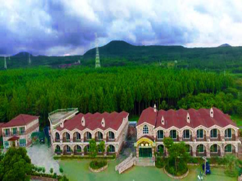 Jeju Ts Youth Hostel & Resort Согвипхо Экстерьер фото