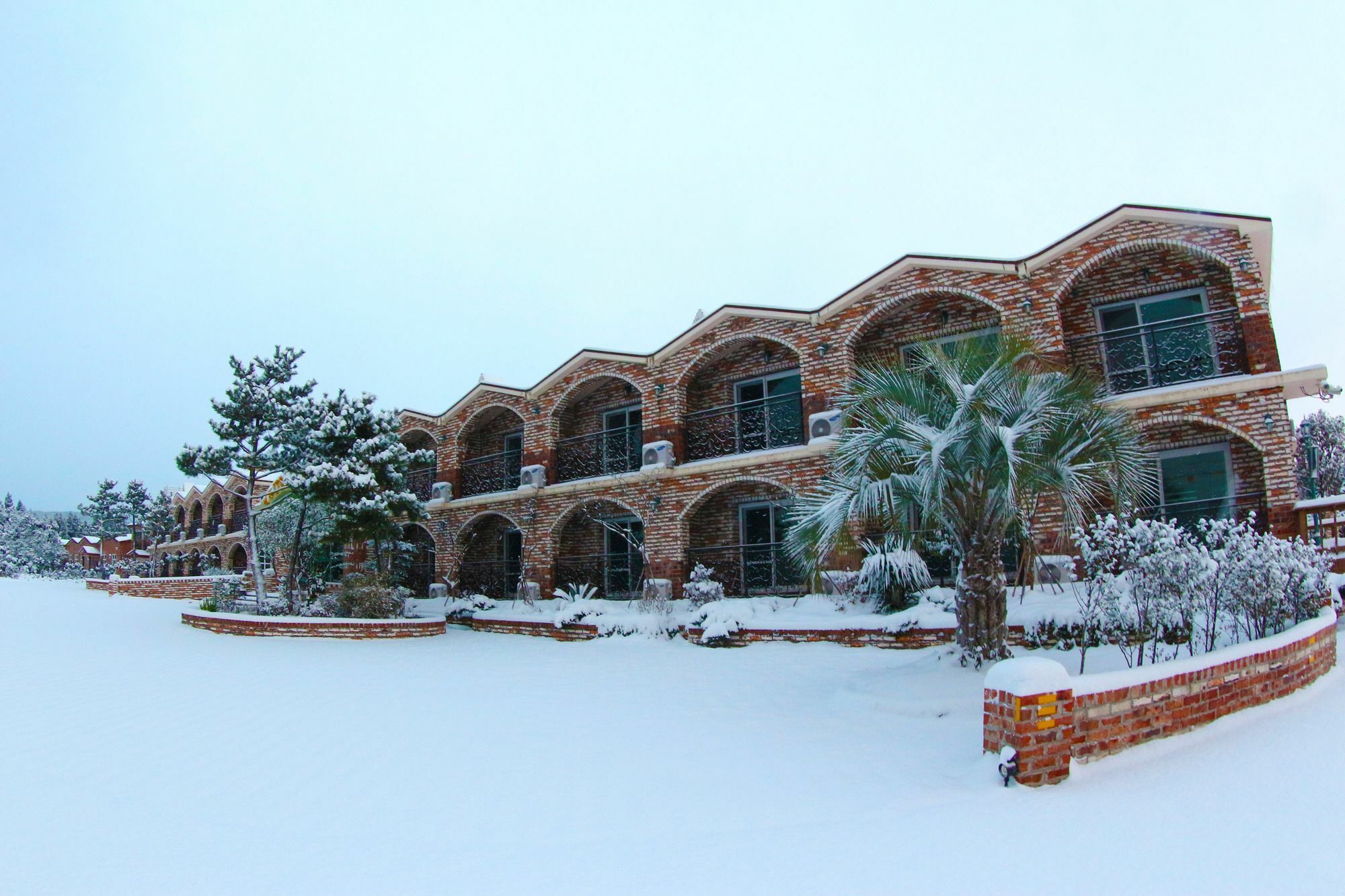 Jeju Ts Youth Hostel & Resort Согвипхо Экстерьер фото